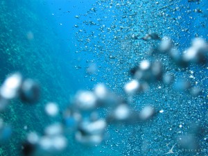 Bubbles in the sea
